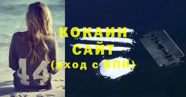 хмурый Гусев