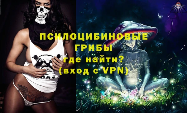 хмурый Гусев