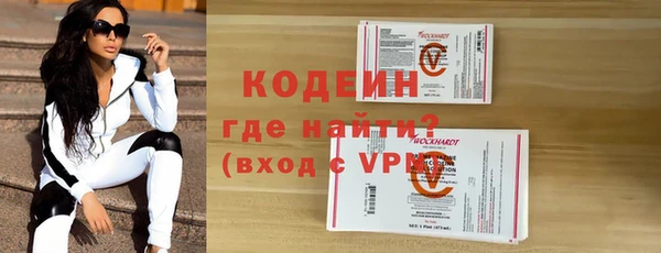 хмурый Гусев