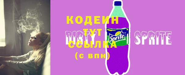 хмурый Гусев