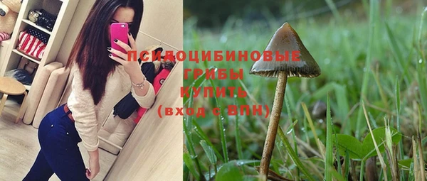 ECSTASY Гусиноозёрск