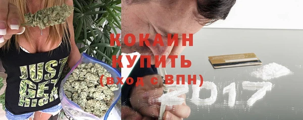 хмурый Гусев